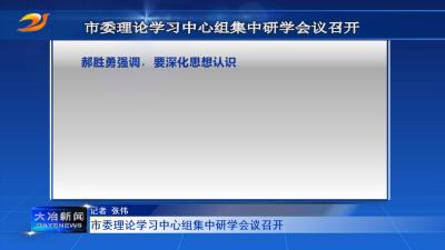 市委理论学习中心组集中研学会议召开