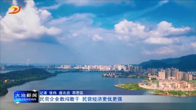 民营企业敢闯敢干 民营经济更优更强