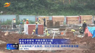 大冶湖高新产业集团：优化营商环境 助推高质量发展
