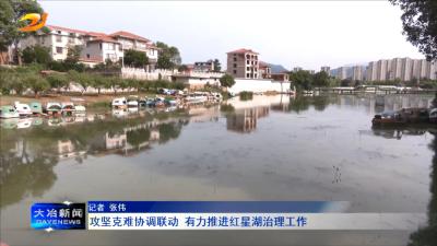 攻坚克难协调联动  有力推进红星湖治理工作