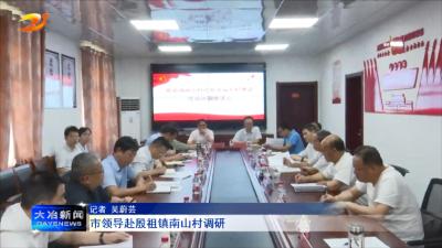市领导赴殷祖镇南山村调研