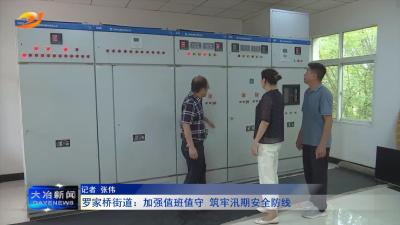 罗家桥街道：加强值班值守 筑牢汛期安全防线