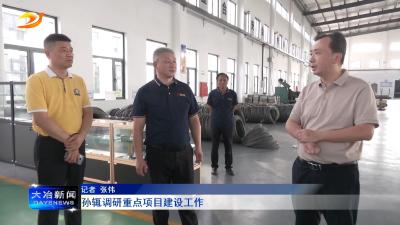 孙辄调研重点项目建设工作