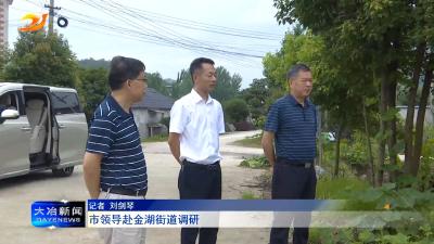 市领导赴金湖街道调研