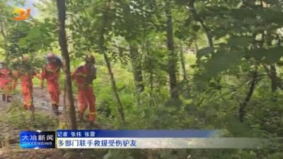 多部门联手救援受伤驴友