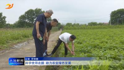 科学使用农膜 助力农业绿色发展