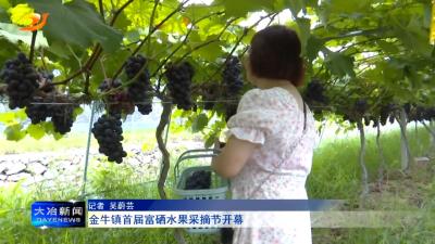 金牛镇首届富硒水果采摘节开幕