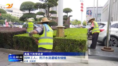 园林工人：用汗水浇灌城市绿植 