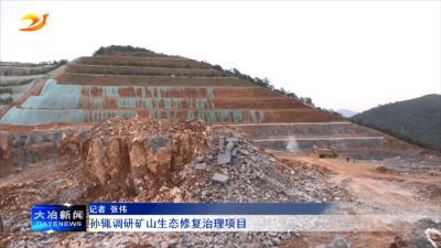 孙辄调研矿山生态修复治理项目