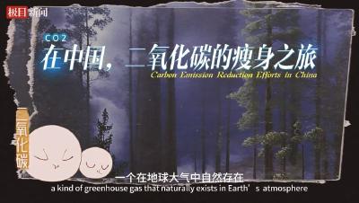 看CO₂的瘦身之旅！全球减碳的中国贡献