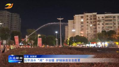 抗旱浇水“渴”不容缓 护绿保苗安全度夏