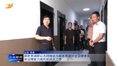 郝胜勇调研以共同缔造为载体推进社会治理体系和治理能力现代化试点工作
