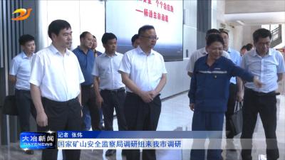 国家矿山安全监察局调研组来我市调研