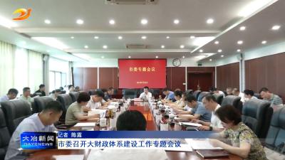 市委召开大财政体系建设工作专题会议