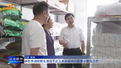 郝胜勇调研群众身边不正之风和腐败问题集中整治工作