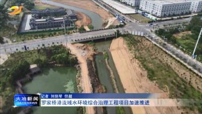 罗家桥港流域水环境综合治理工程项目加速推进