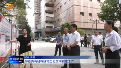 郝胜勇调研城区常态化文明创建工作