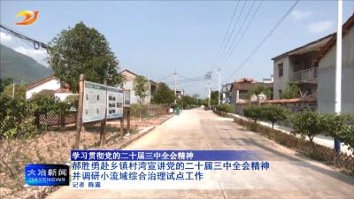 郝胜勇赴乡镇村湾宣讲党的二十届三中全会精神并调研小流域综合治理试点工作