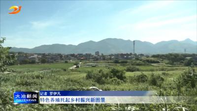 特色养殖托起乡村振兴新图景