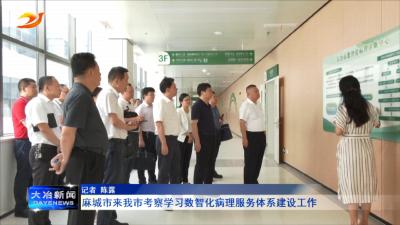 麻城市来我市考察学习数智化病理服务体系建设工作