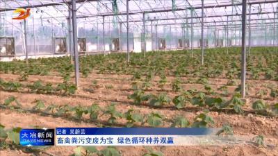 畜禽粪污变废为宝  绿色循环种养双赢