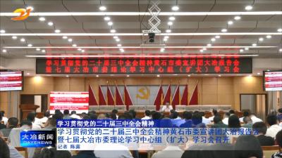 学习贯彻党的二十届三中全会精神黄石市委宣讲团大冶报告会暨七届大冶市委理论学习中心组（扩大）学习会召开
