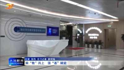 乘“数”而上 强“基”赋能