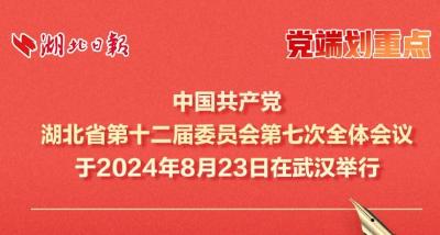 党端划重点丨中共湖北省委十二届七次全体会议精神解读（手账版）