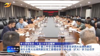 学习贯彻党的二十届三中全会精神黄石市委宣讲团大冶湖高新区报告会暨大冶湖高新区党工委理论学习中心组（扩大）学习会召开