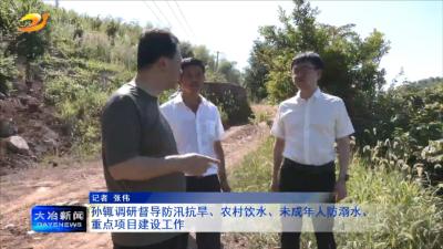 孙辄调研督导防汛抗旱、农村饮水、未成年人防溺水、重点项目建设工作