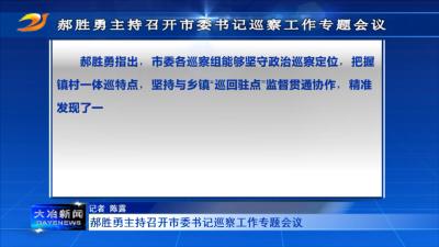郝胜勇主持召开市委书记巡察工作专题会议