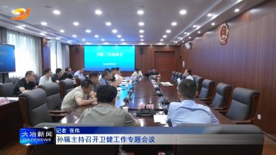 孙辄主持召开卫健工作专题会议