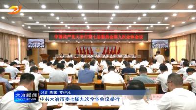 中共大冶市委七届九次全体会议举行