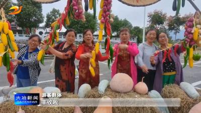 2024年中国农民丰收节黄石主会场活动在我市举行