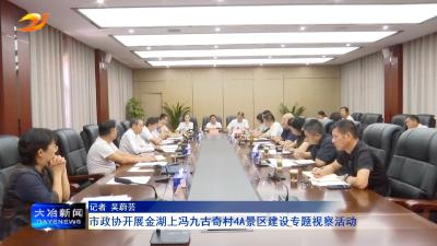 市政协开展金湖上冯九古奇村4A景区建设专题视察活动