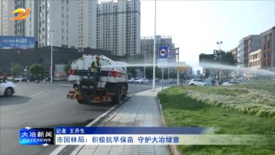 市园林局：积极抗旱保苗 守护大冶绿意