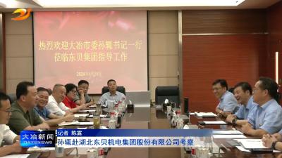 孙辄赴湖北东贝机电集团股份有限公司考察