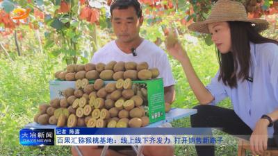 百果汇猕猴桃基地：线上线下齐发力 打开销售新路子