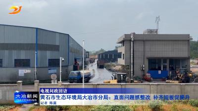 黄石市生态环境局大冶市分局：直面问题抓整改 补齐短板促提升