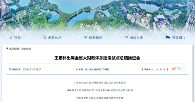 王忠林出席全省大财政体系建设试点总结推进会