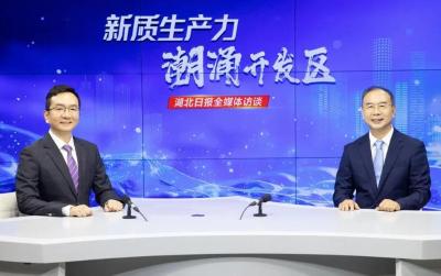 国之重器，来了！湖北一地惊艳全球