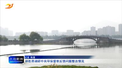 郝胜勇调研中央环保督察反馈问题整改情况