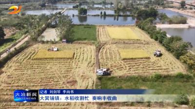 大箕铺镇：水稻收割忙 奏响丰收曲