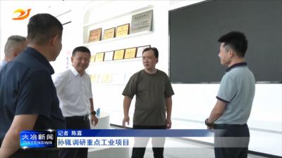 孙辄调研重点工业项目