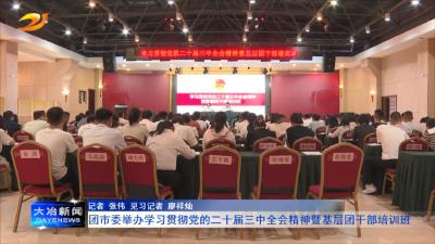 团市委举办学习贯彻党的二十届三中全会精神暨基层团干部培训班