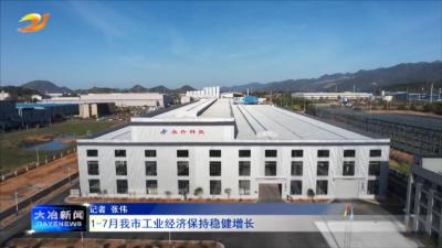 1—7月我市工业经济保持稳健增长