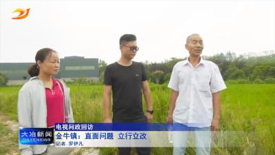 【电视问政回访】金牛镇：直面问题 立行立改