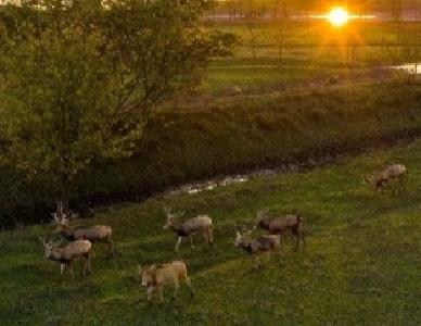 姓名：丢丢 出生地：东经112.23°，北纬29.49°