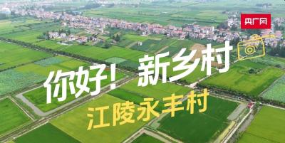 【你好！新乡村】共建共享奏响“鱼米之乡”丰收曲