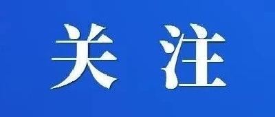 【楚天评】东湖评论：唯见长江，遇见宜昌